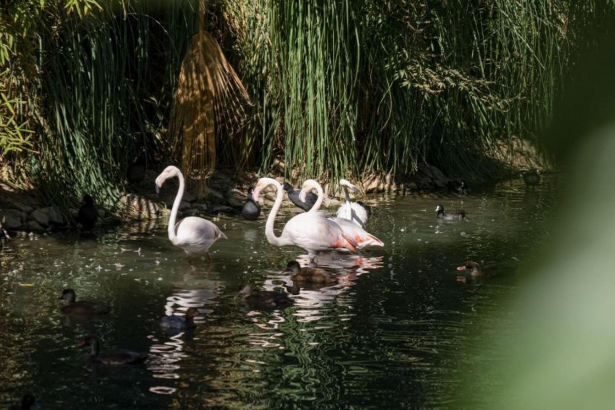 Batihan Vadi Hotel Kusadası Esterno foto